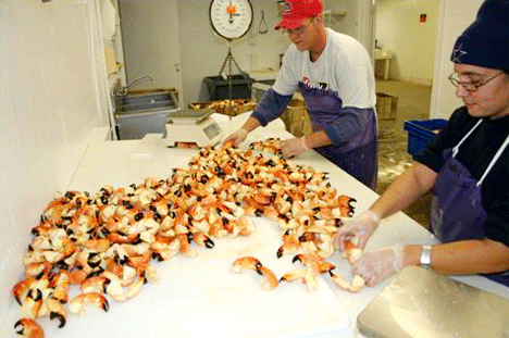 Stone Crab Size Chart